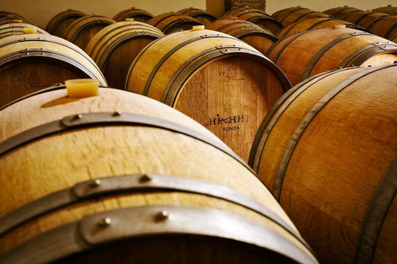 Ronda wine tour from Malaga