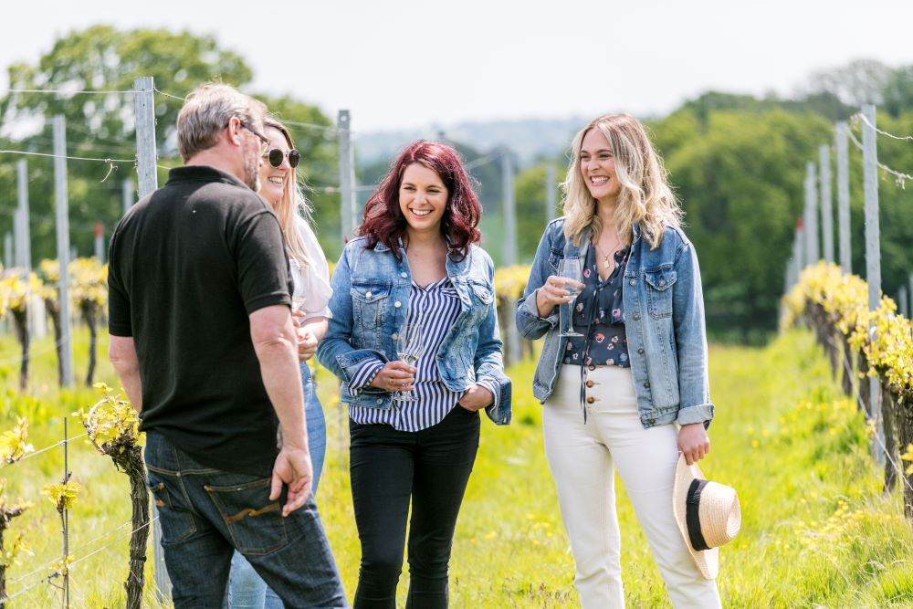 Corporate Wine Tours of Kent Wine Tours of Kent Guided Wine Tasting