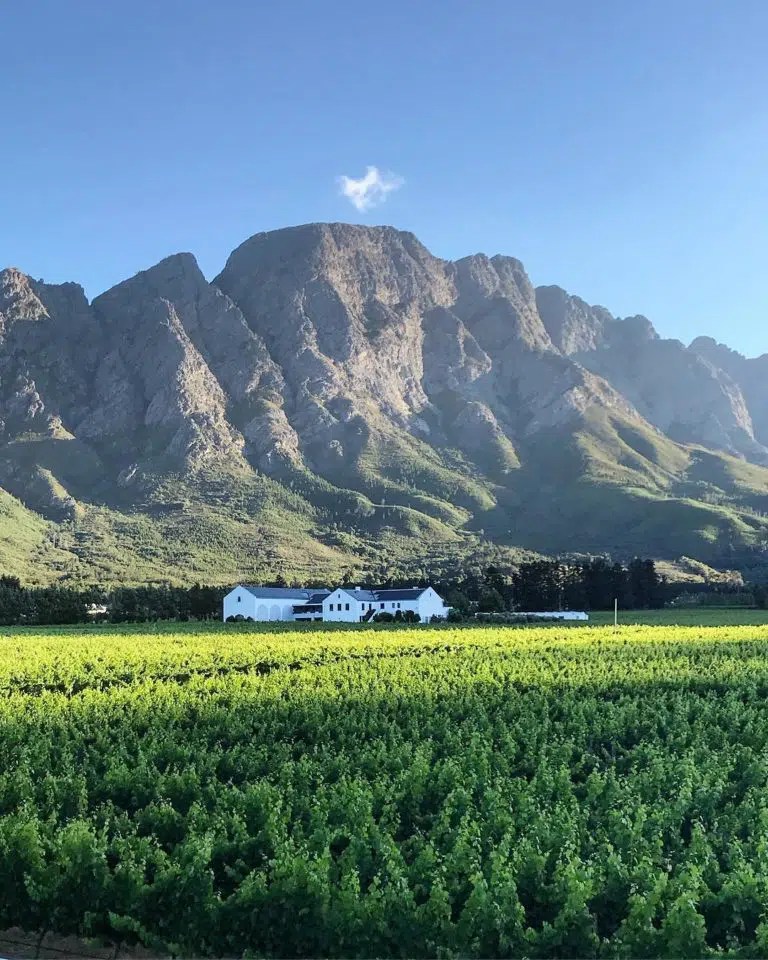 Wine Tasting at Holden Manz Wine Estate Wine Tours in Franschhoek