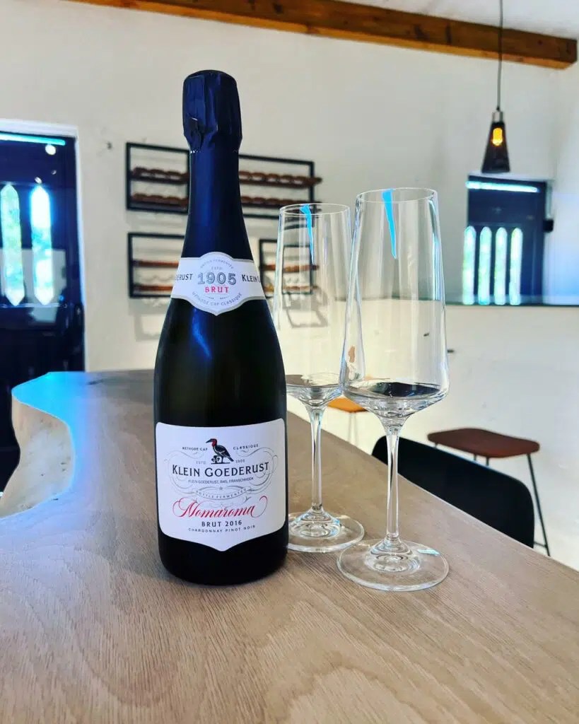 Wine Tasting at Klein Goederust Wine Tours in Franschhoek