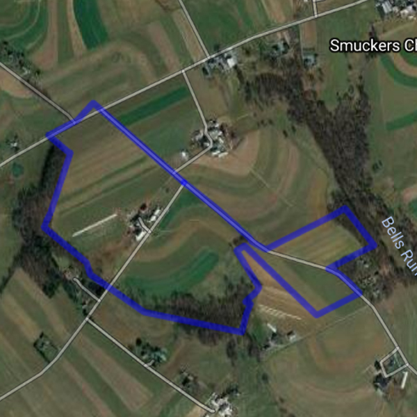 PA1181 Wing and Buck