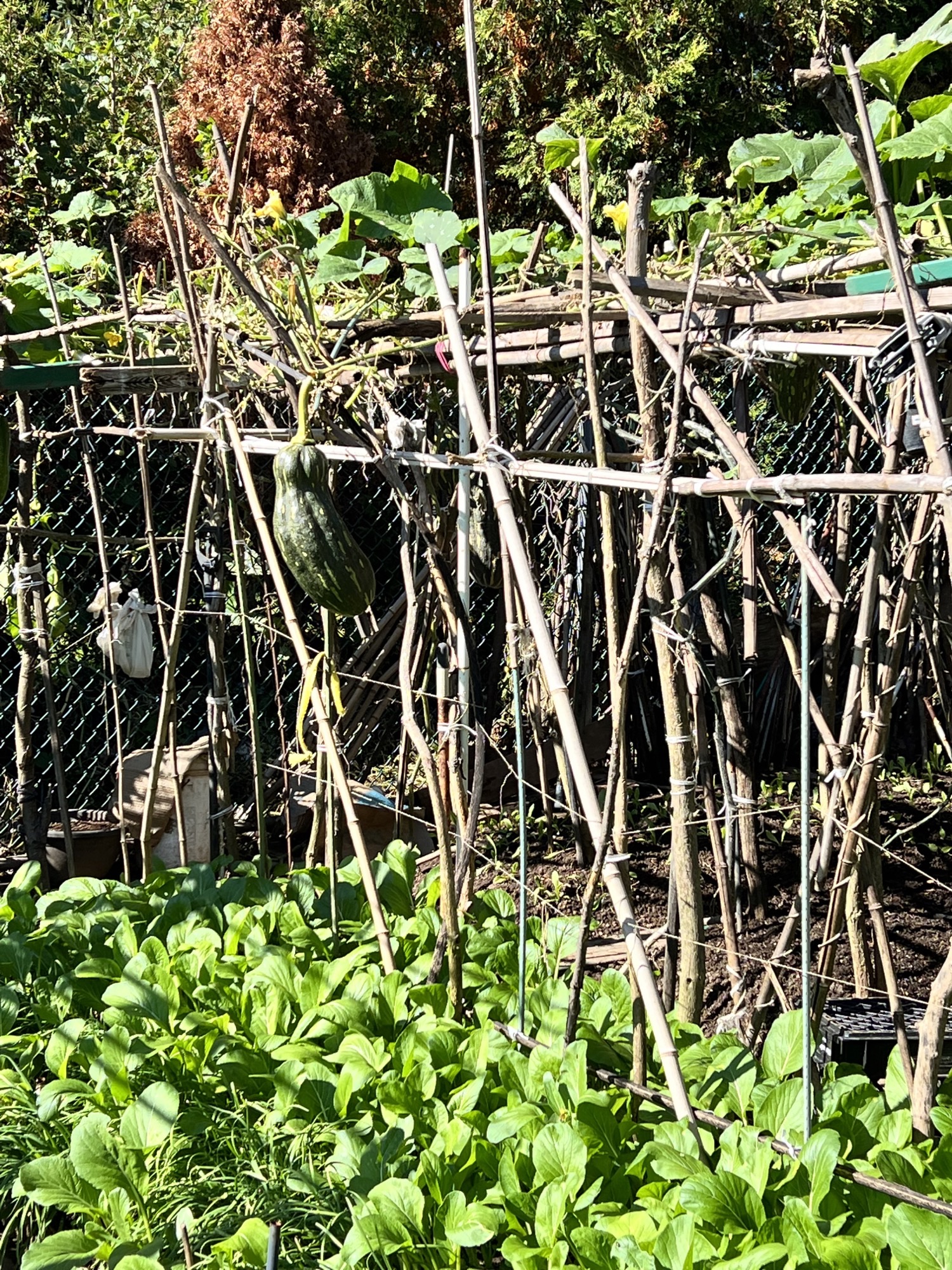 St. Mary's Apartments New Brunswick, NJ Communities Wingate Companies