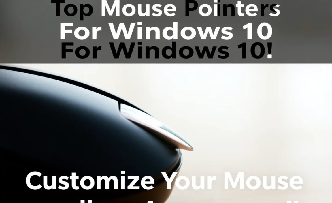Customizing Your Mouse Pointer Appearance