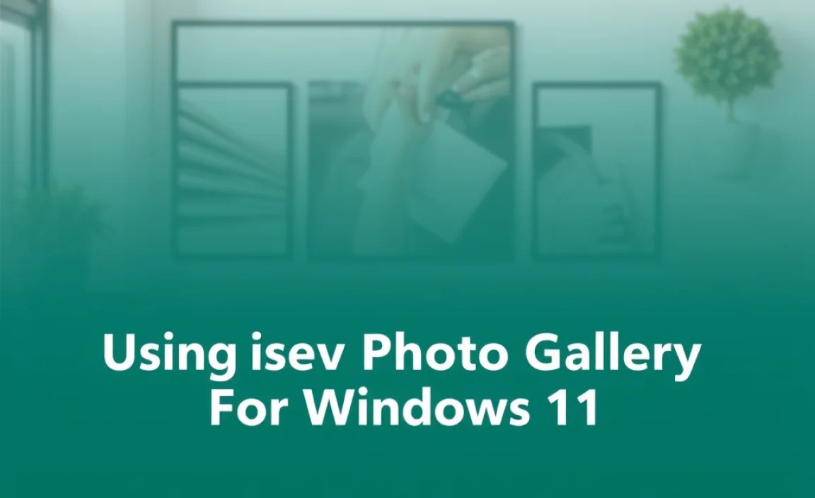 Using Windows Photo Gallery Effectively