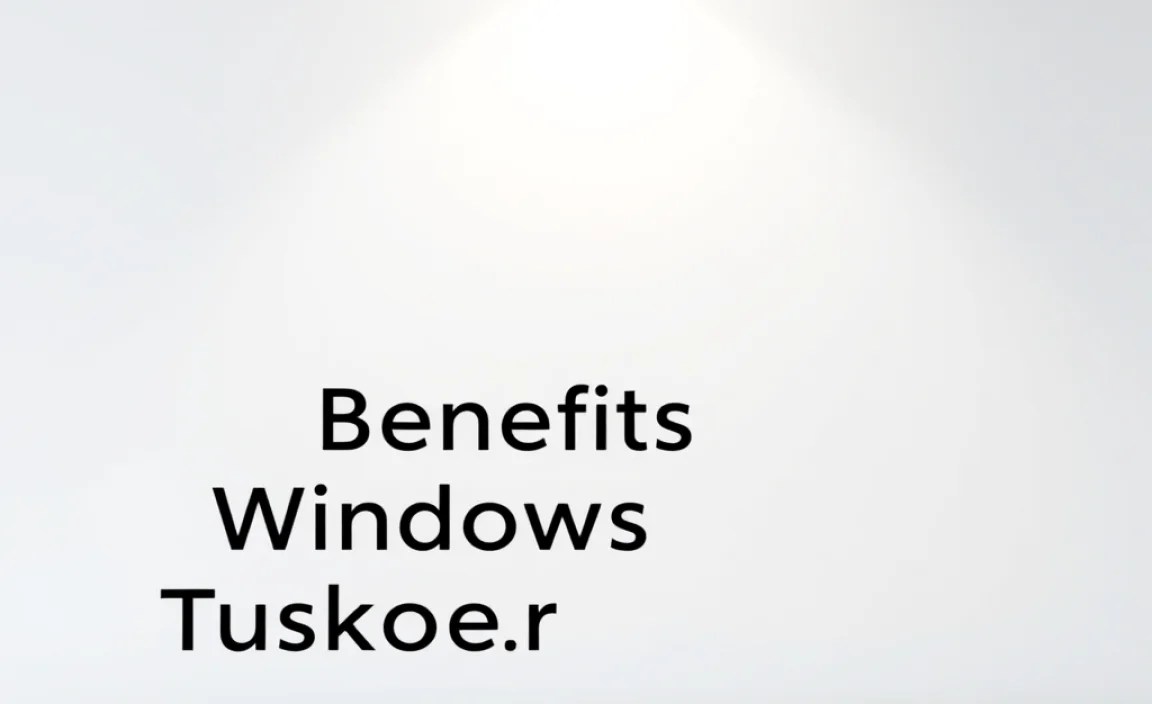 Visual and Functional Customization Options