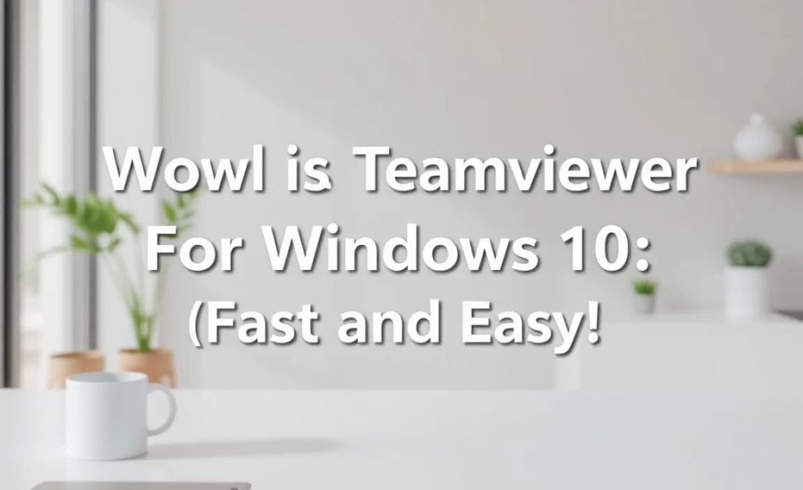What is TeamViewer?