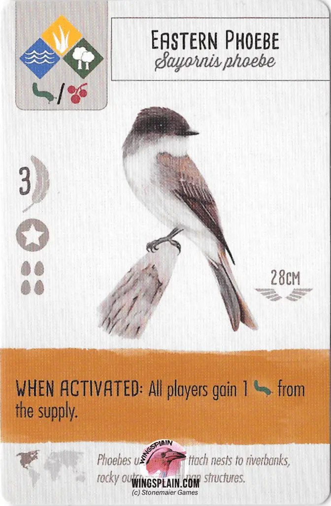 Wingspan Bird Card Tier List (Version 2.0) • Wingsplain