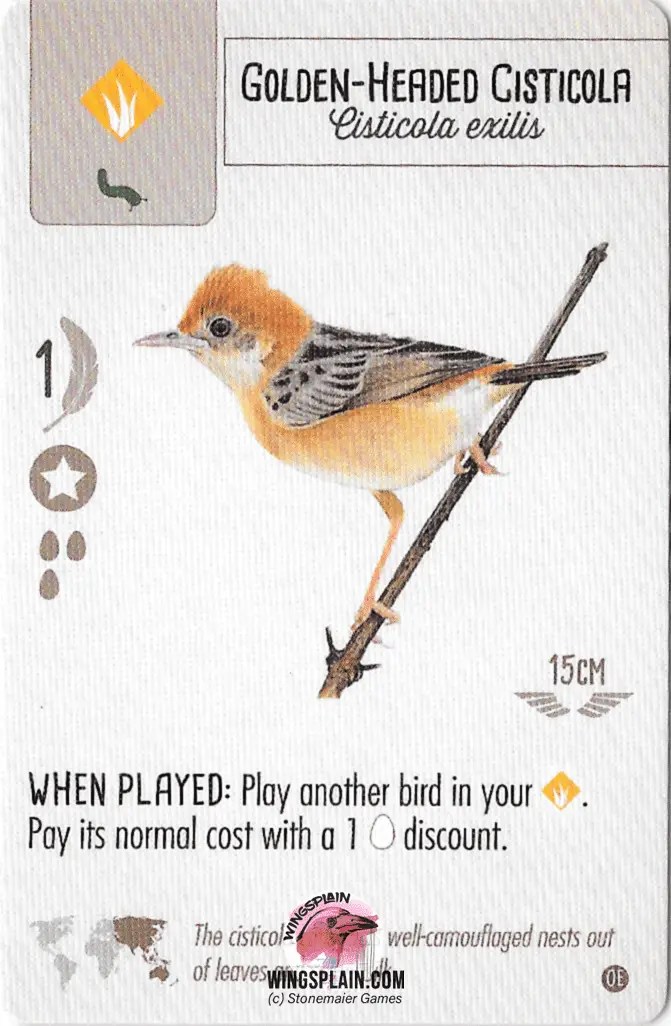 Wingspan Bird Card Tier List Update (Version 1.1) • Wingsplain