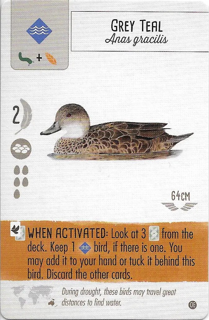 Is Grey Teal One of The Best Cards In Wingspan Oceania Expansion? • Wingsplain