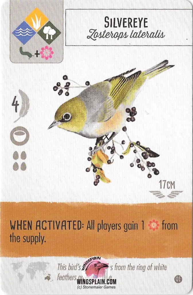 Wingspan Bird Card Tier List (Version 2.0) • Wingsplain