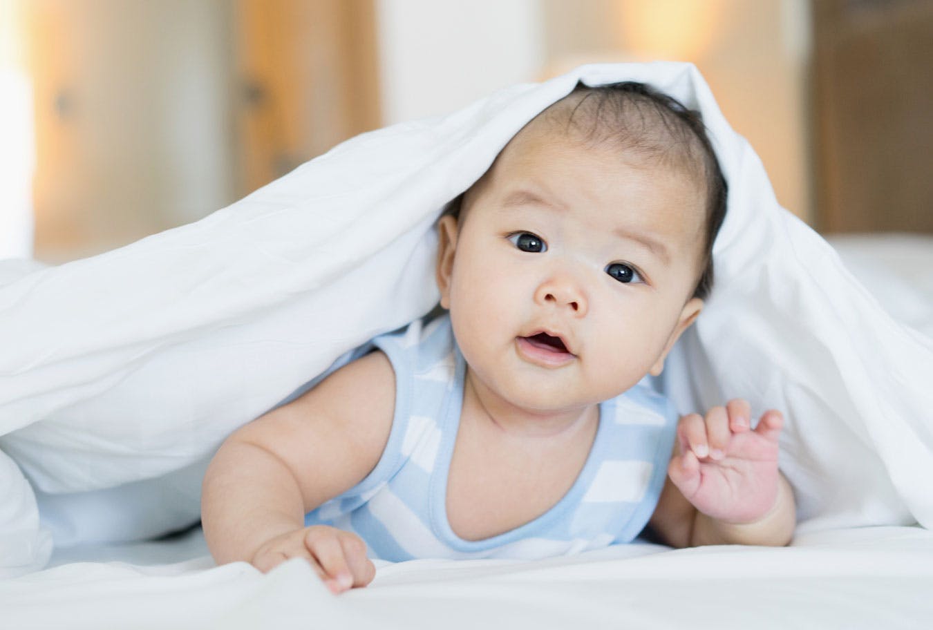 Should I add my infant to my dental and visual insurance plans? Winnie