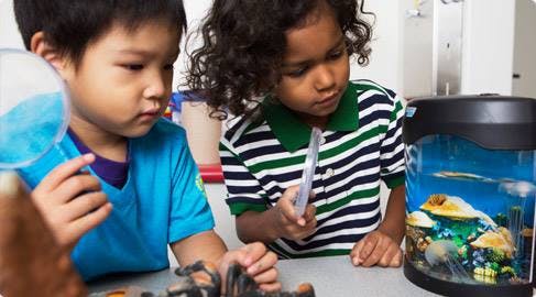 Prestige Preschool Academy (Carlsbad) Daycare in Carlsbad, CA Winnie