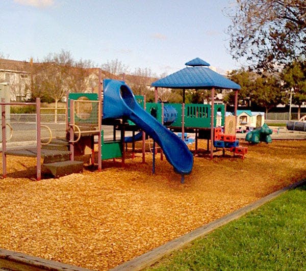 The Learning Tree Preschool in Fremont, CA Winnie