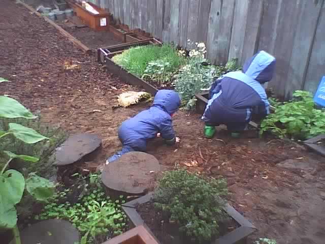 Children's Sunflower House & Garden Daycare in San Francisco, CA Winnie