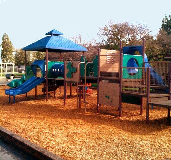 The Learning Tree Preschool in Fremont, CA Winnie