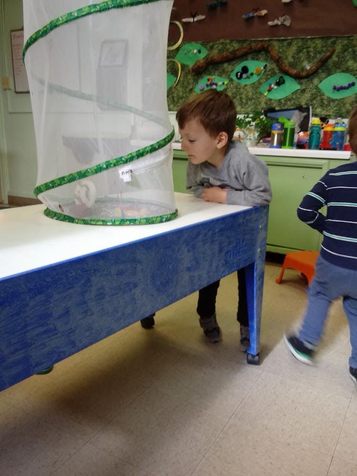 Christ Lutheran Early Childhood Center Daycare in Denver, CO Winnie