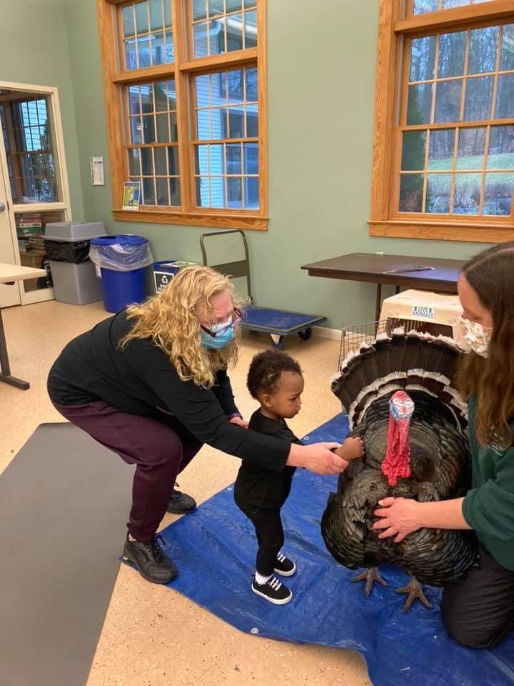 Top of The Hill Day Care Daycare in Bristol, CT Winnie