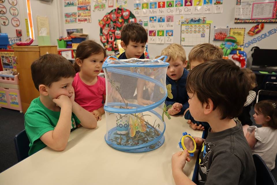 Stepping Stone School Daycare in Tyler, TX Winnie