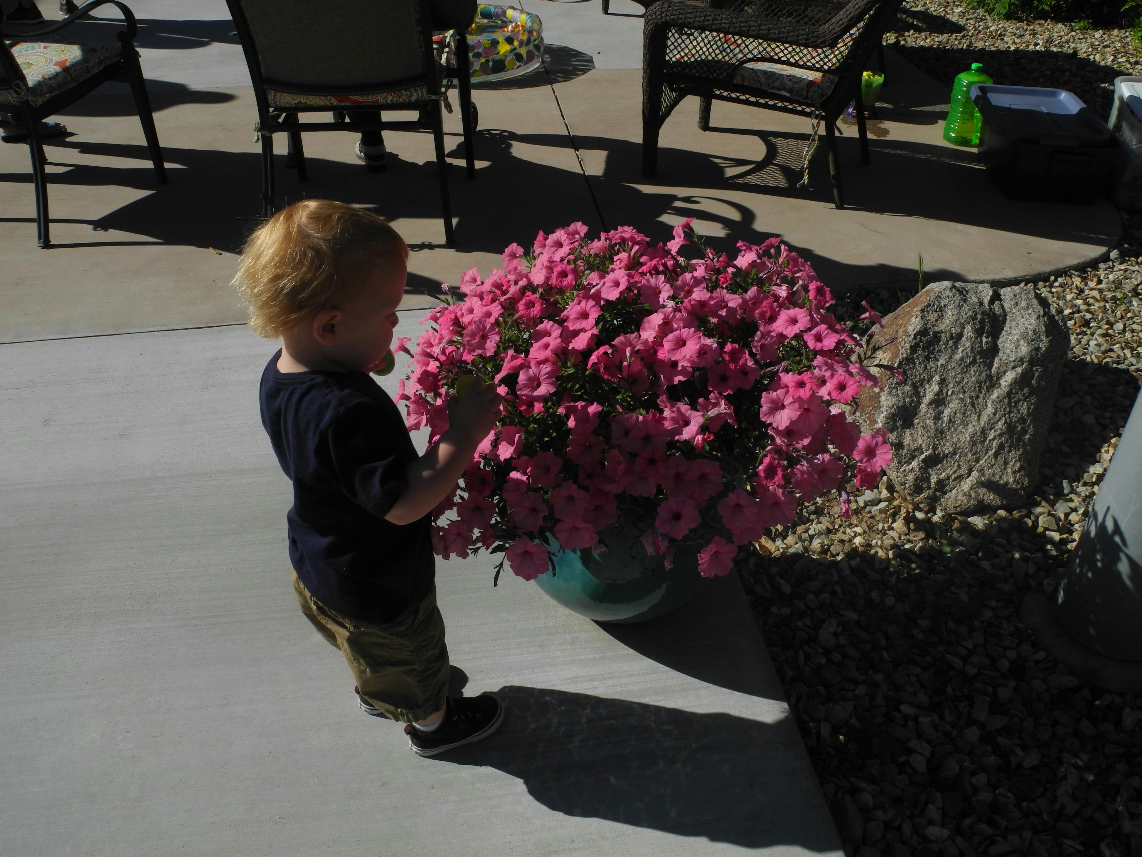 Wirtzie's Preschool and Child Day Care Preschool in