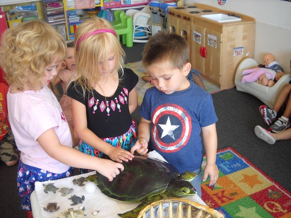 Just For Kids Preschool and Child Care Center LTD Preschool in