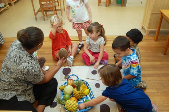 Montessori Country Day School Daycare in Houston, TX