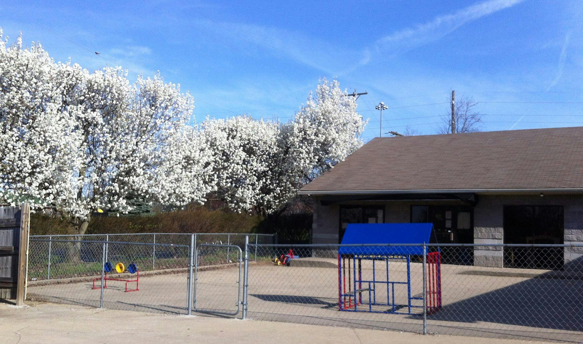 Megaminds Educare Daycare in Lexington, KY Winnie