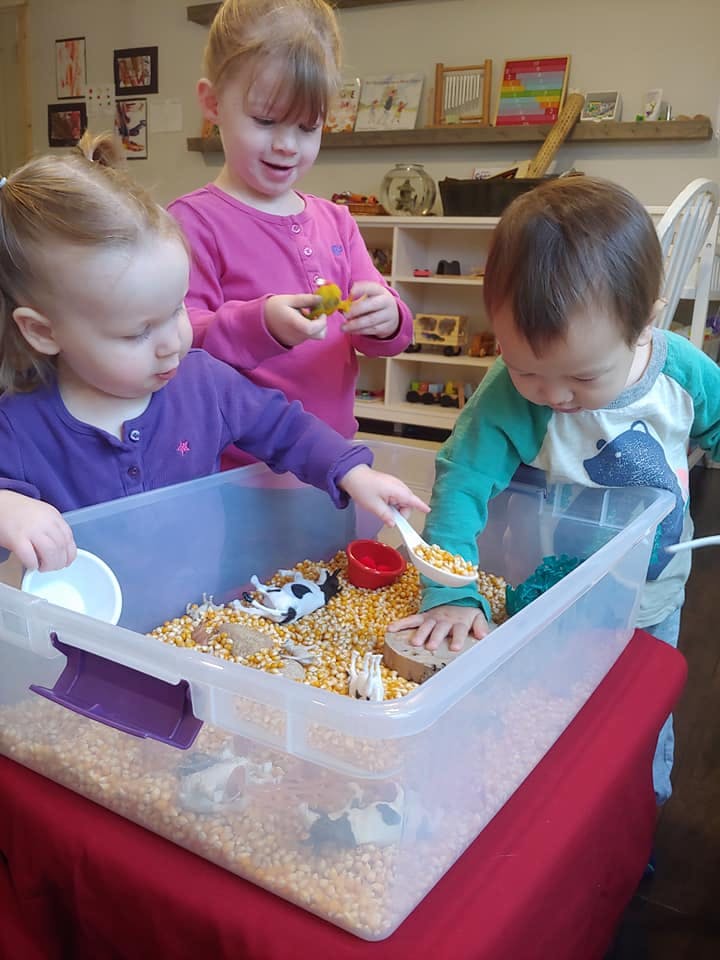 Rosie Poseys Daycare in Leander, TX Winnie