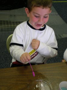 luthfiannisahay Butterfly Garden Homer Glen Il