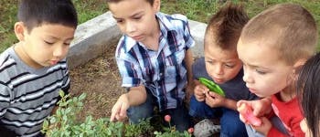 CPC Willcox Head Start Preschool in Willcox, AZ Winnie