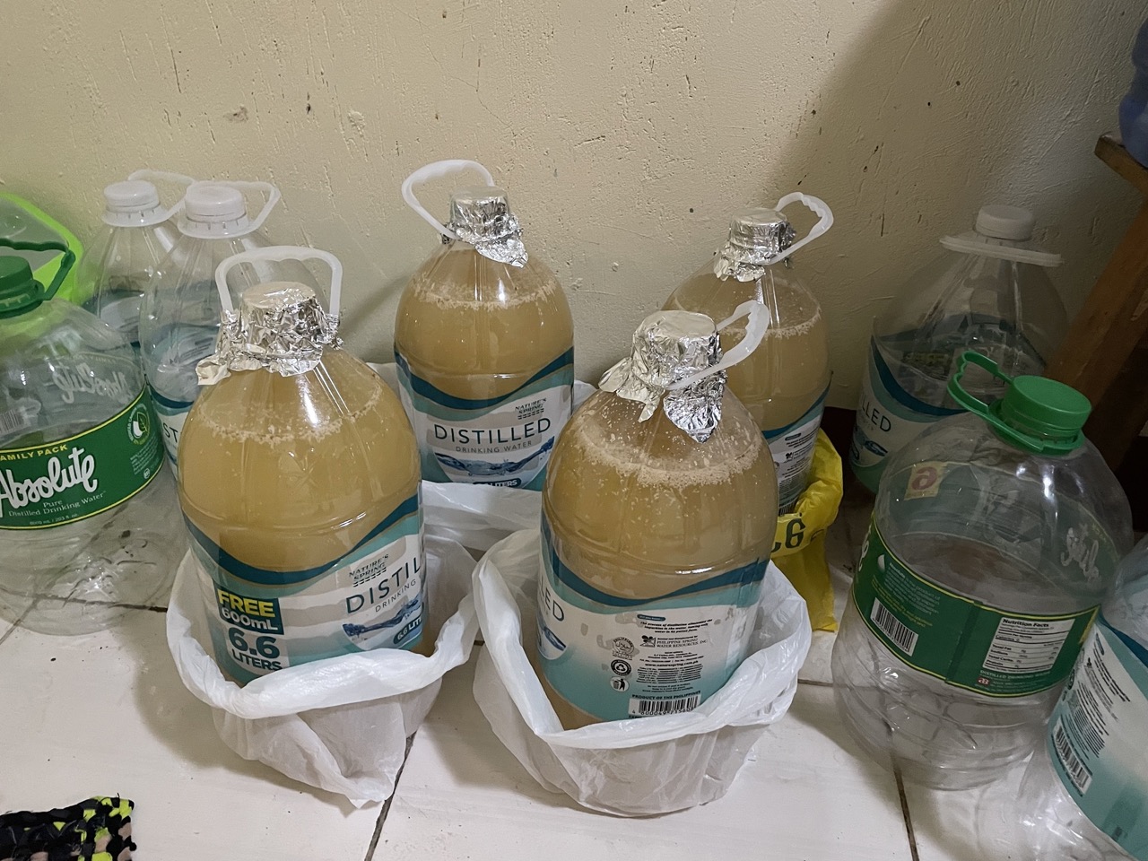 Making Ginger Beer (Without Equipment!) Winning Beers
