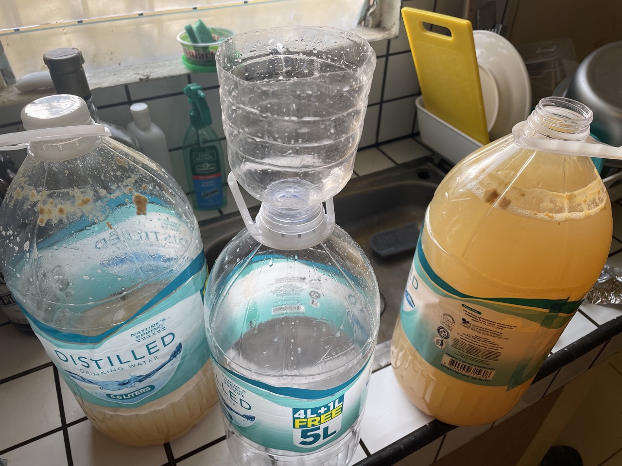 Making Ginger Beer (Without Equipment!) Winning Beers