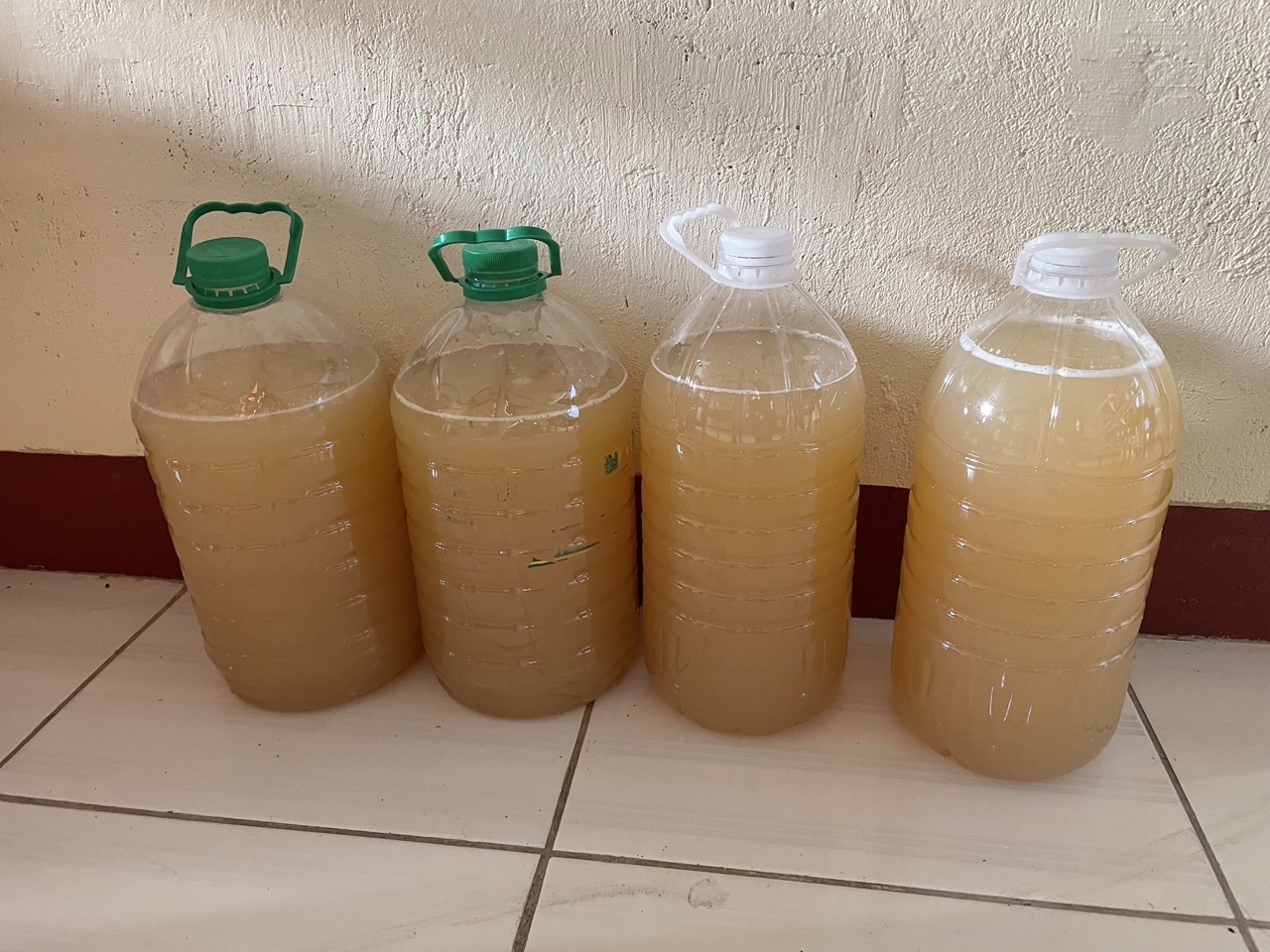 Making Ginger Beer (Without Equipment!) Winning Beers
