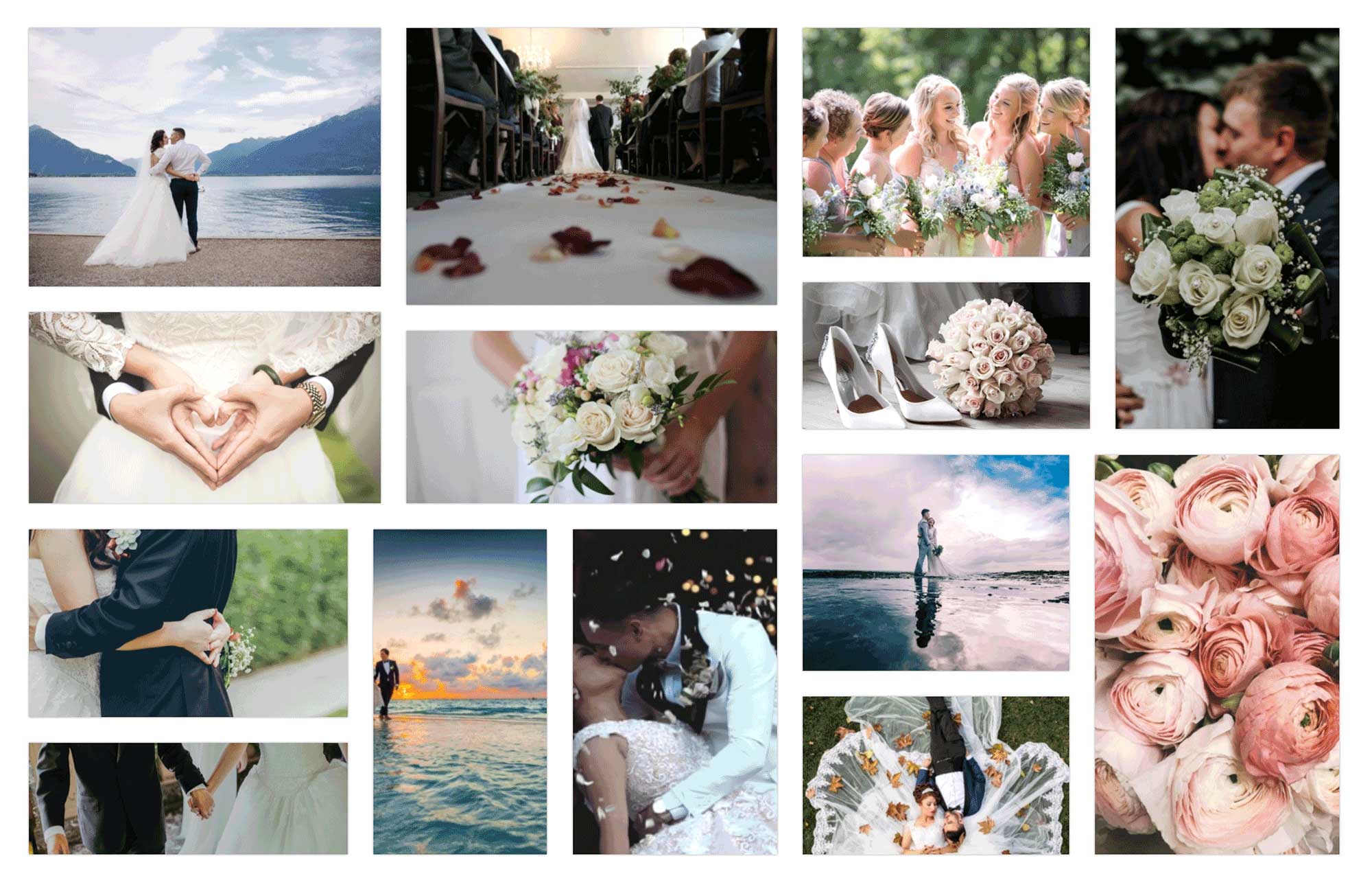 Top 7 Best WordPress Gallery/Photo Plugins Which to Choose? (2020)