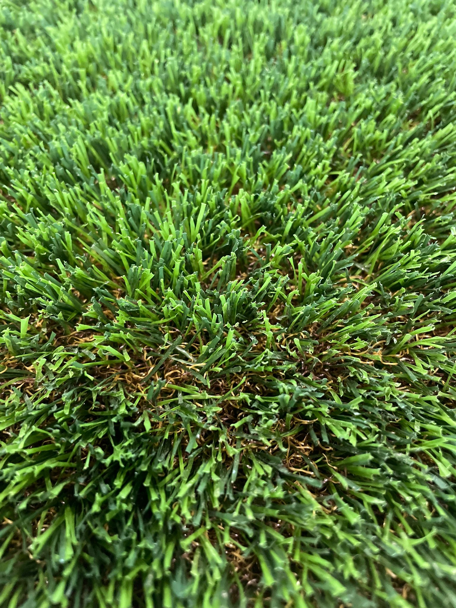 Artificial Grass in Winnipeg Order Today Turf 2 Supply