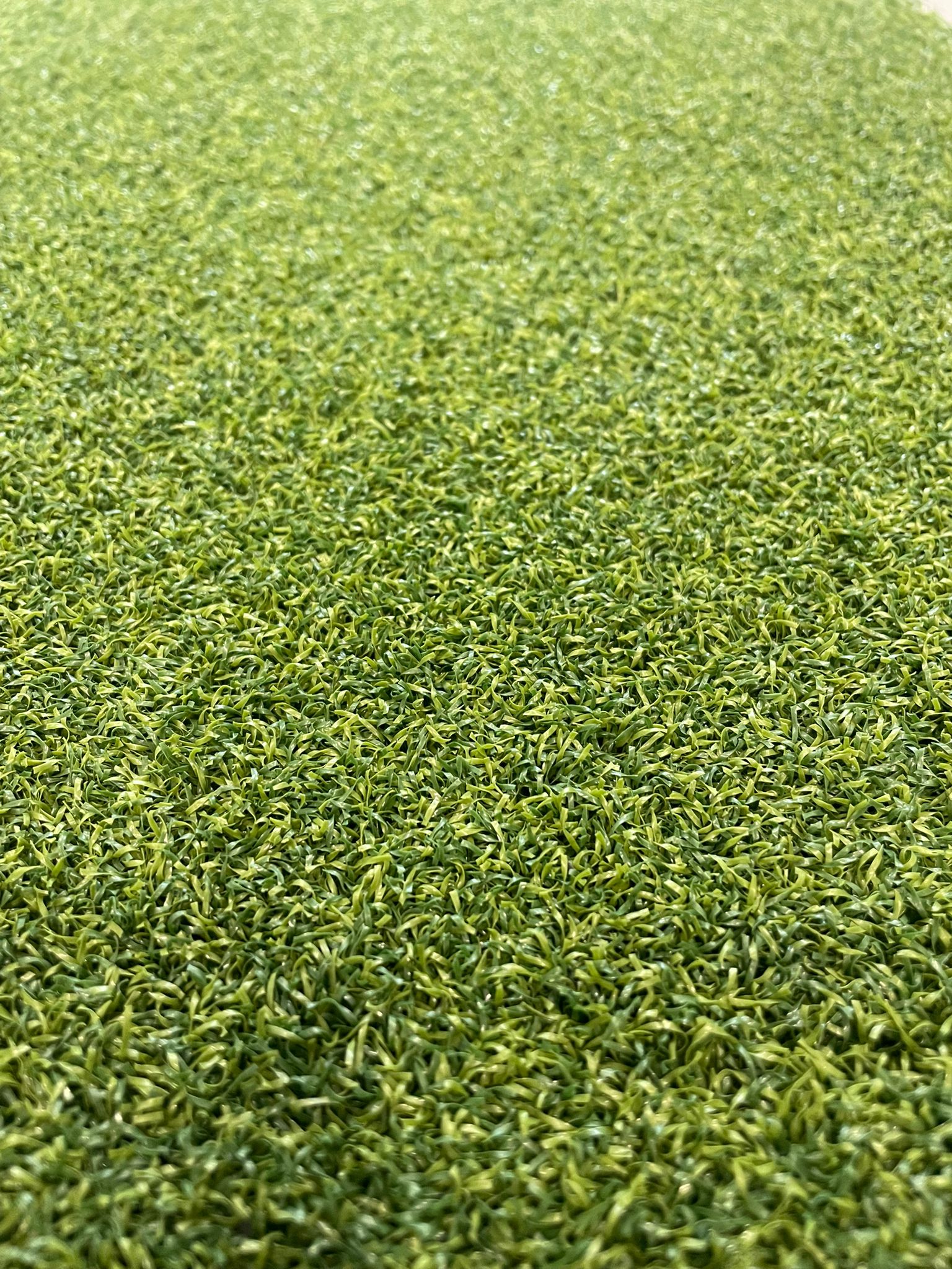 Artificial Grass in Winnipeg Order Today Turf 2 Supply