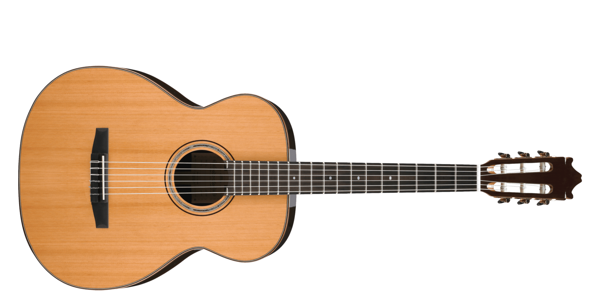 Holding the Guitar Getting Started in Guitar Lessons Video Guitar Class