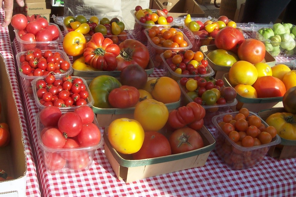 Farmers Market Winnsboro Online Guide