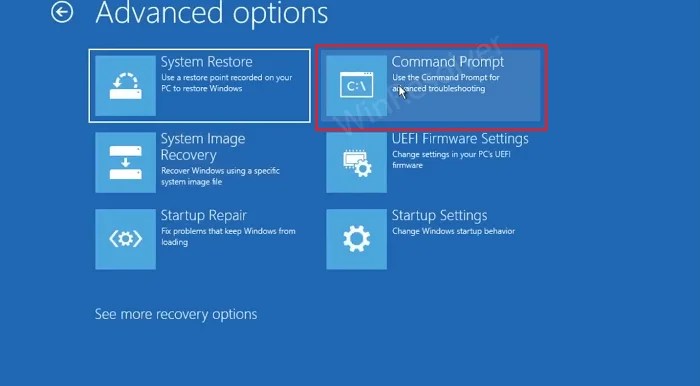 Easiest Way to Fix Windows 11 Could not Find the Recovery.