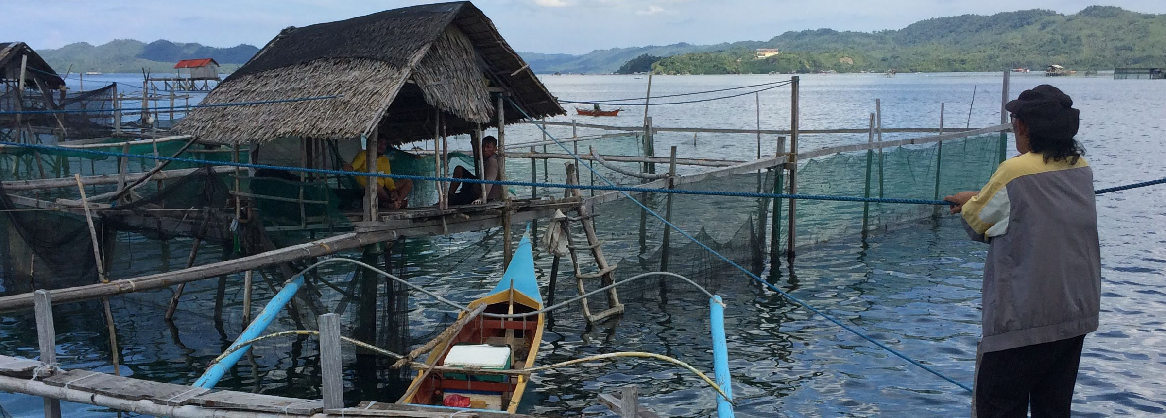 Winrock International » Promoting Sustainable Aquaculture in the Philippines