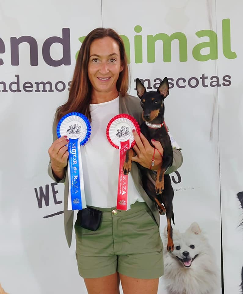 Kennel Winsome Flames med sin vinnarhund English Toy terriern Sansa