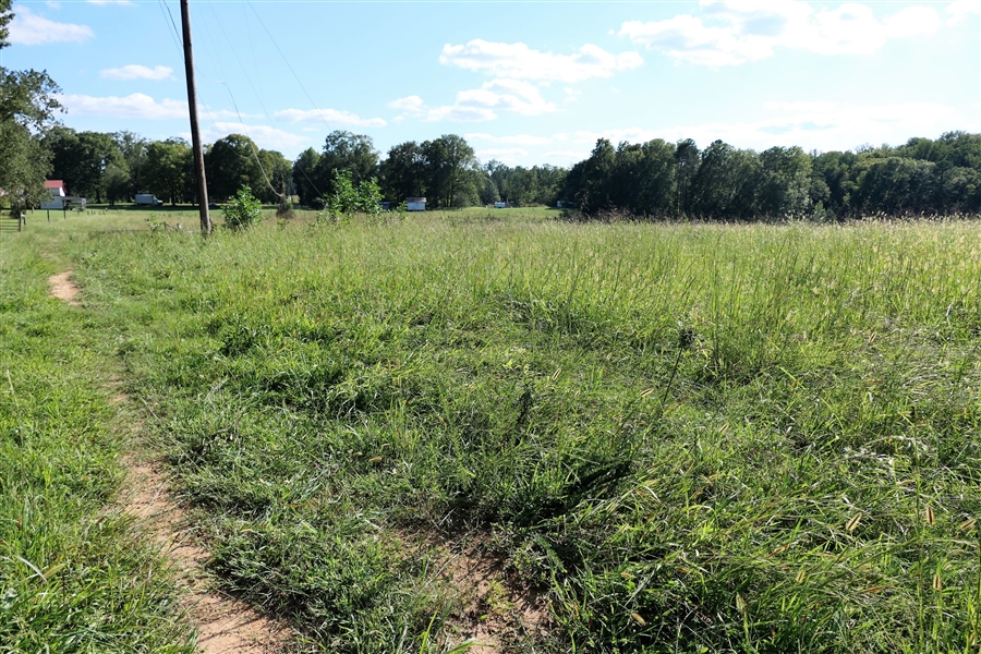 to Winstead's Auction Company