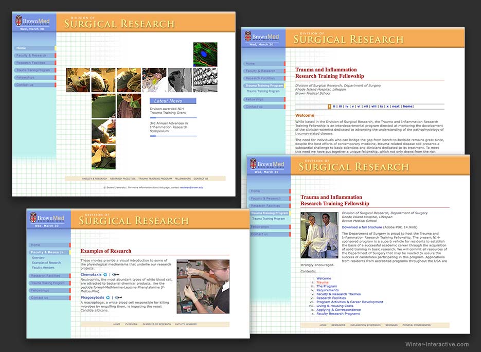 Website Rhode Island Surgical Research Winter Interactive Inc.