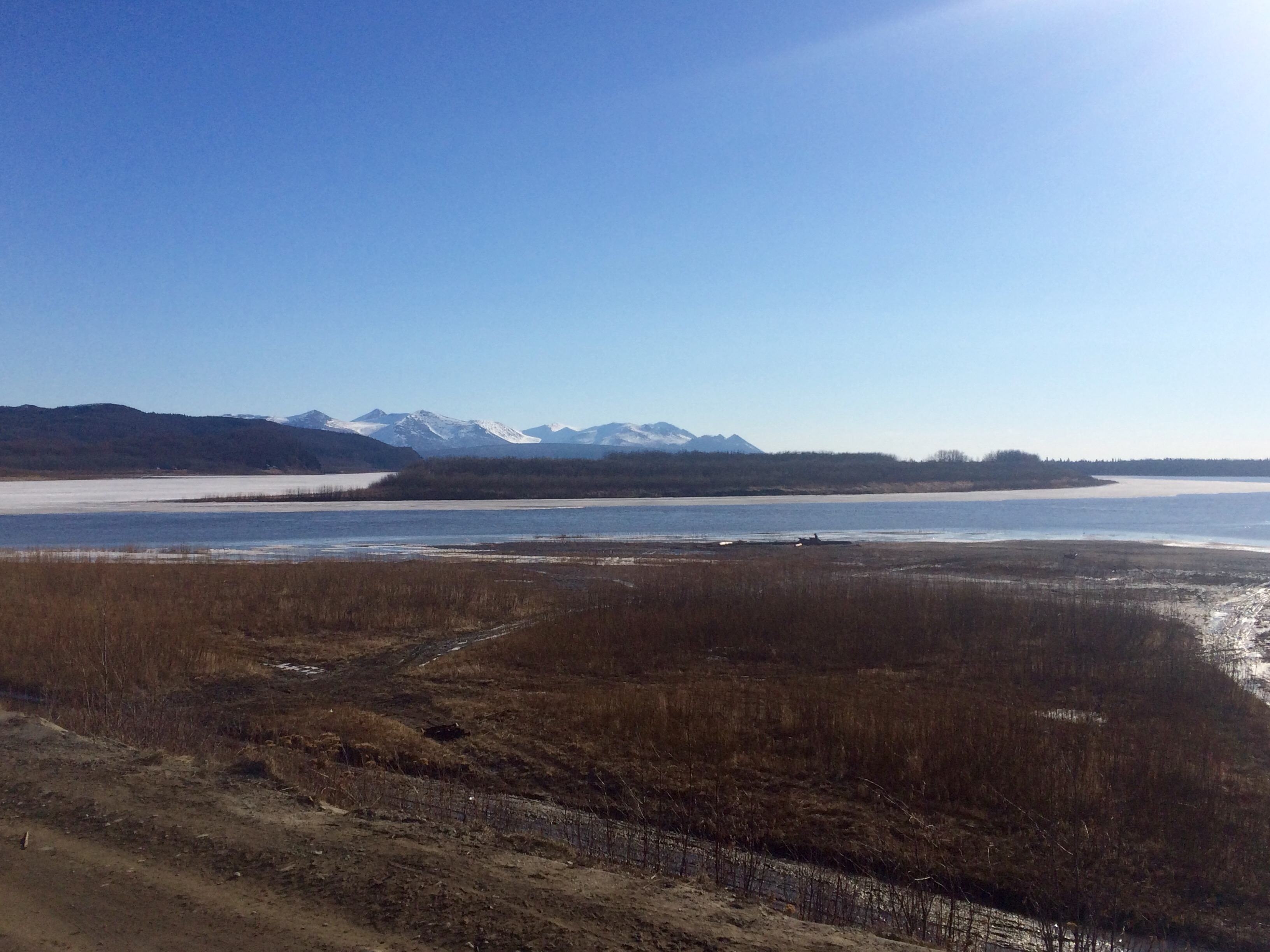 We Heart Aniak The Winter Bear Project