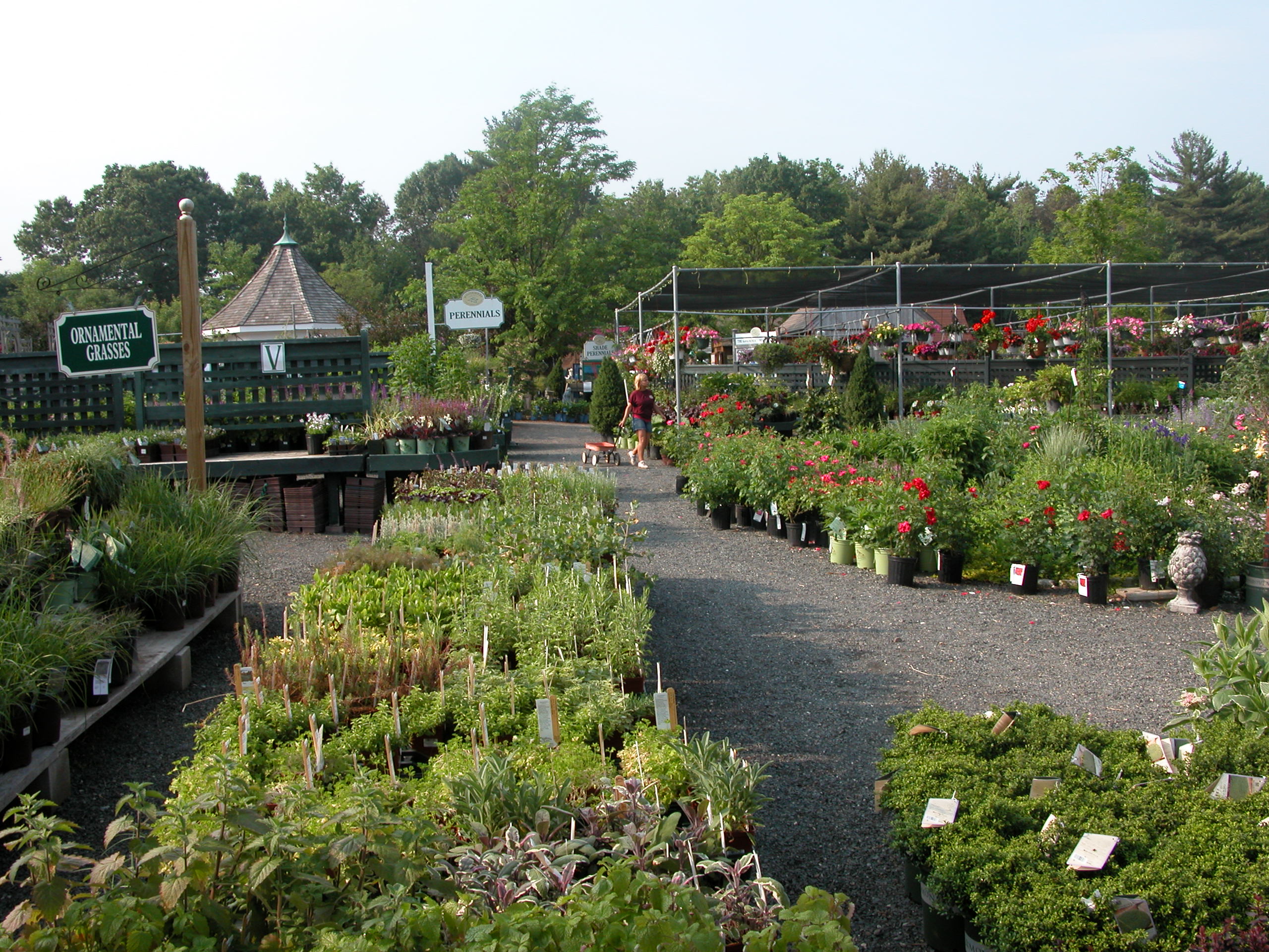 Visit Our Garden Center Virtual Tour Winterberry Gardens