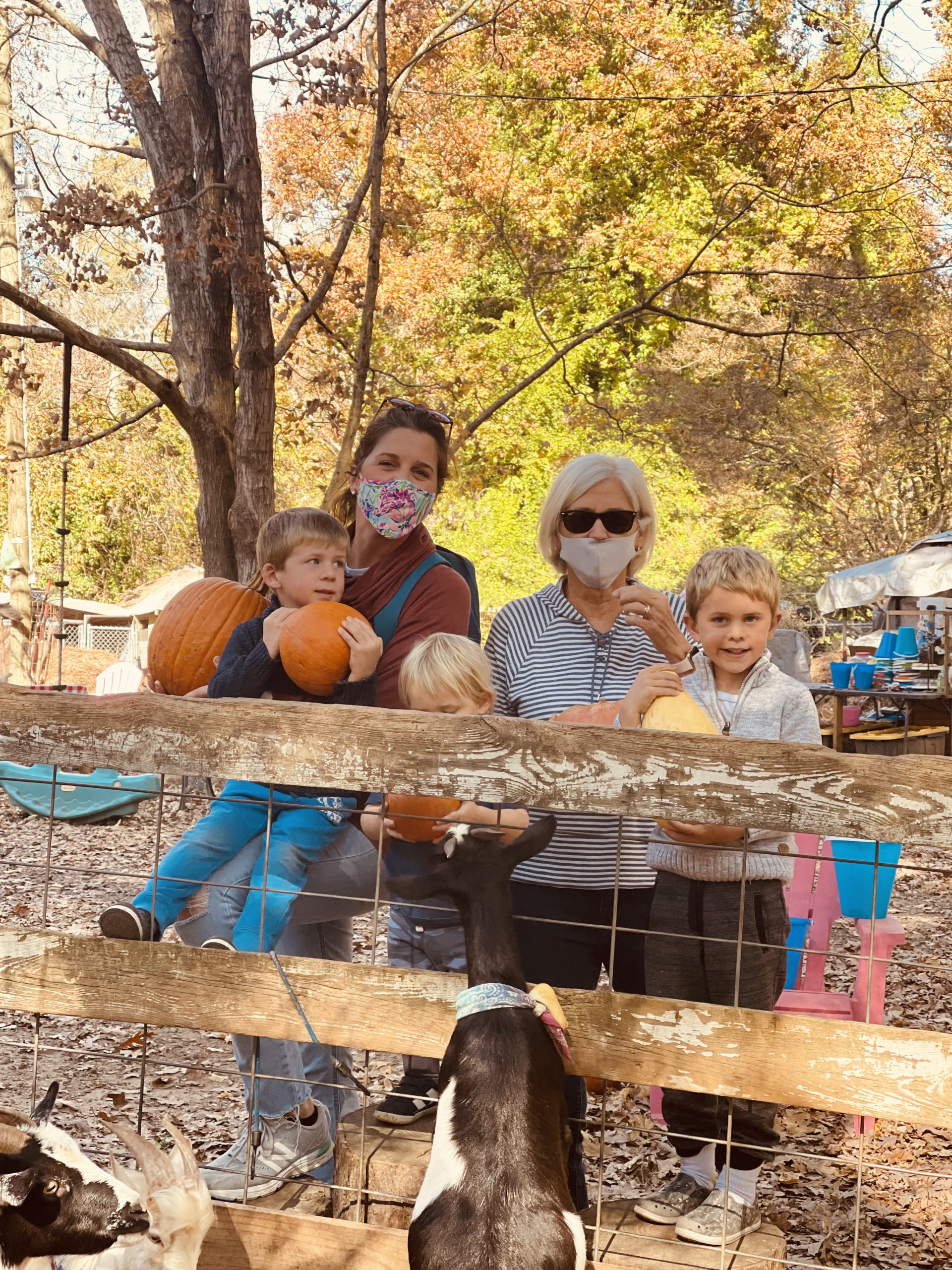 DONATE PUMPKINS HERE Winterpast Farm