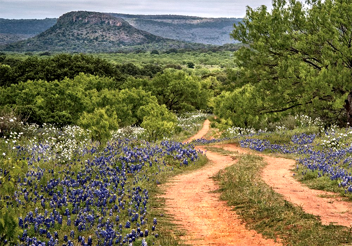 Explore Texas Hill Country