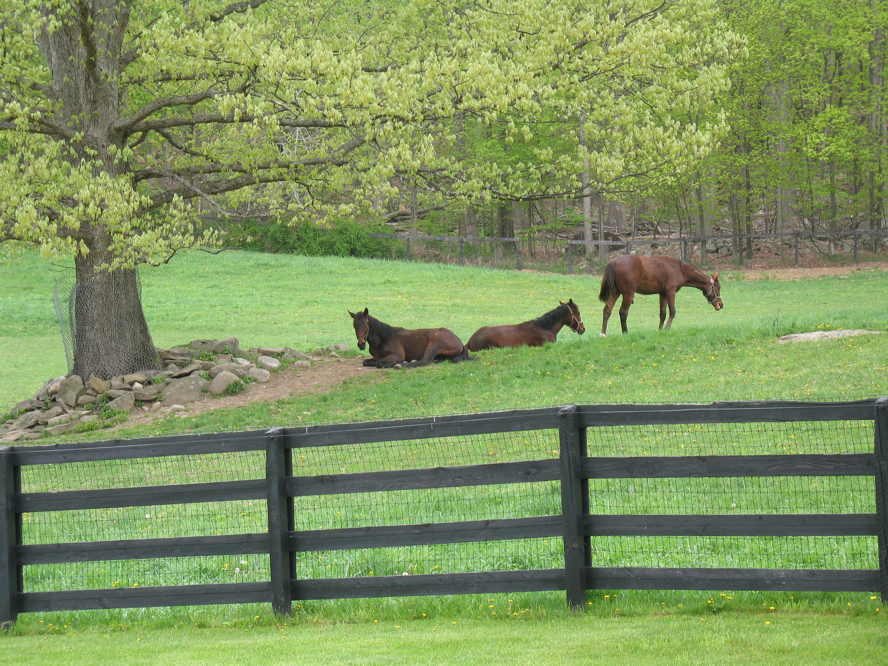 Winterton Acres Wedding Venue Hudson Valley