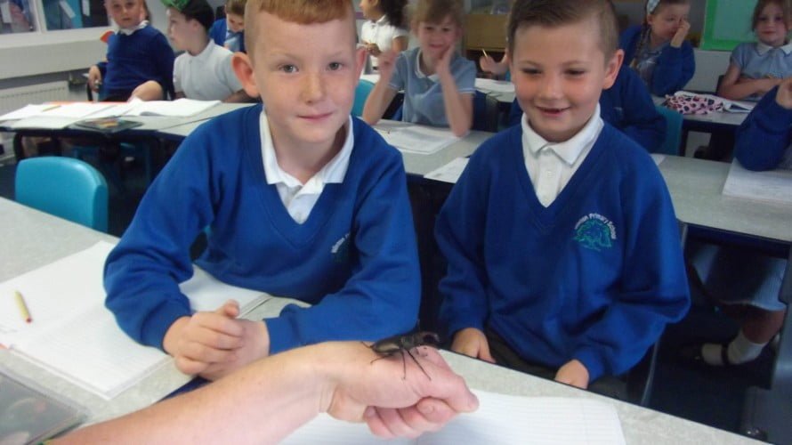 Summer Visitor Winton Primary School
