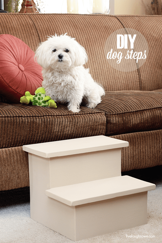 10 Best DIY Gift Tutorials For Your Dog Wiproo
