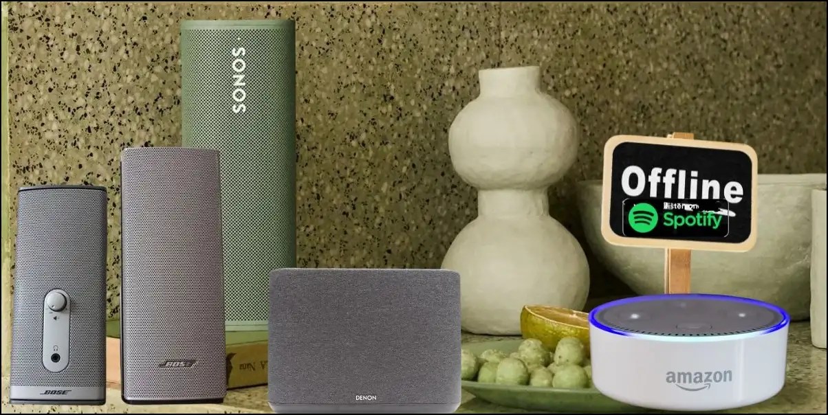 Alexa Says Device is Offline for Spotify (Sonos, Bose, Denon) Wired Cabin
